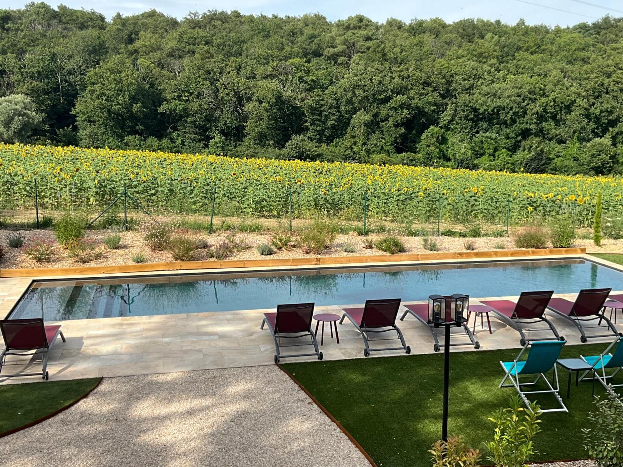 Sans Souci Bed And Breakfast Luxe Heated Pool And Restaurant Luzillé Eksteriør bilde